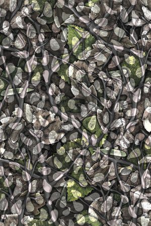 叶子印花华亿平台图片