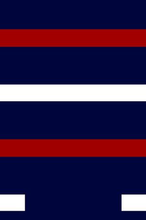 男装秋冬华亿平台印花华亿平台图片