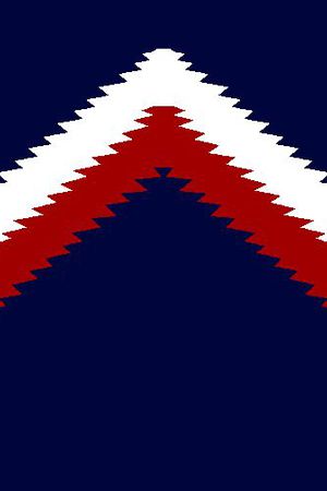 男装秋冬外套印花华亿平台图片