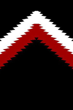 男装秋冬外套印花华亿平台图片