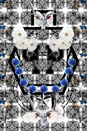 Philipp Plein印花华亿平台图片