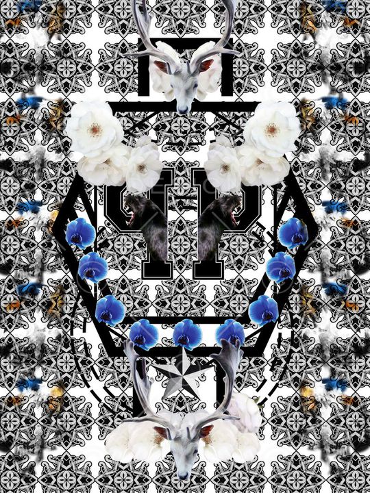 Philipp Plein印花华亿平台图片