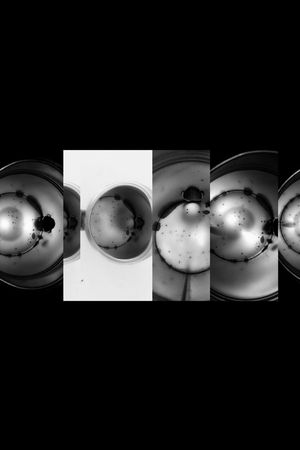 定位印花华亿平台图片