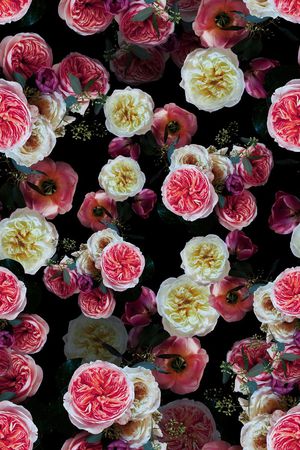 潮流女装印花华亿平台图片