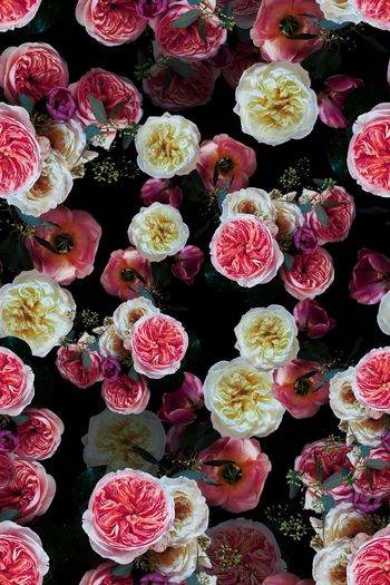 483605-油画潮流暗底印花