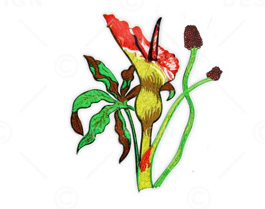 时尚大牌临摹印花华亿平台图片