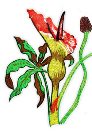 时尚大牌临摹印花华亿平台图片