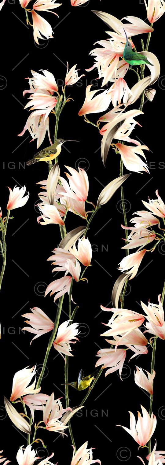 鸟印花华亿平台图片