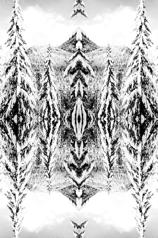 潮流印花华亿平台图片