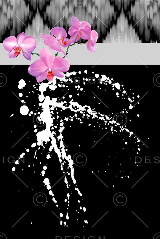 秋冬外套数码印花印花华亿平台图片