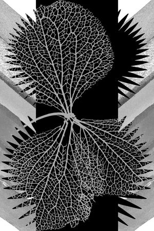 秋冬外套数码印花印花华亿平台图片