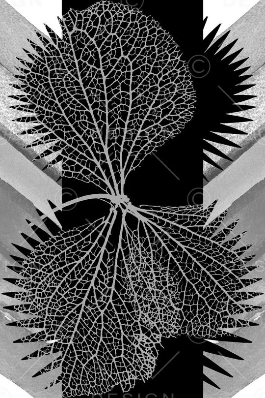 秋冬外套数码印花印花华亿平台图片