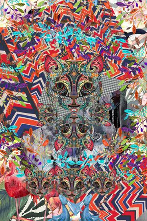 日本印花华亿平台图片