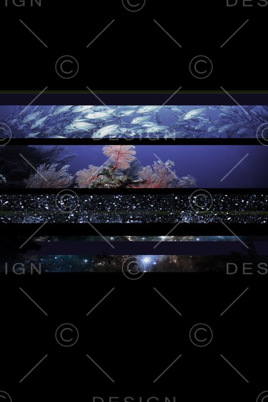 定位印花华亿平台图片