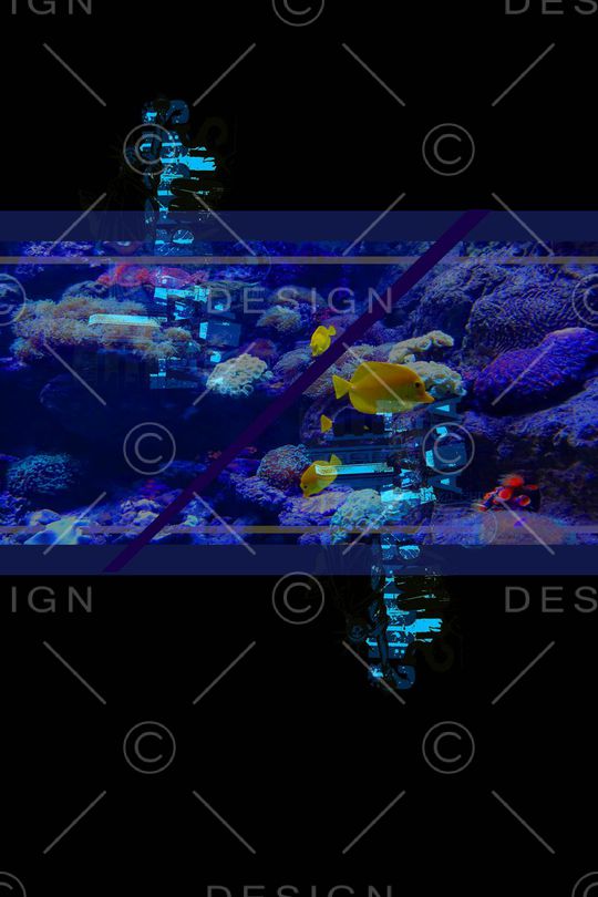 定位印花华亿平台图片