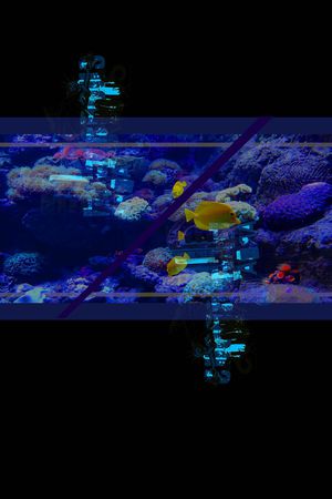 定位印花华亿平台图片