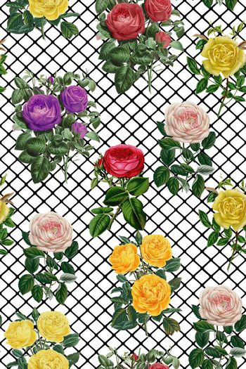 484164-方格纹花卉优雅早春女装华亿平台