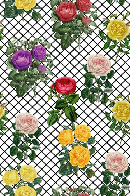 方格纹印花华亿平台图片