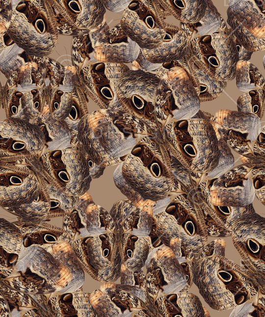 复古印花华亿平台图片