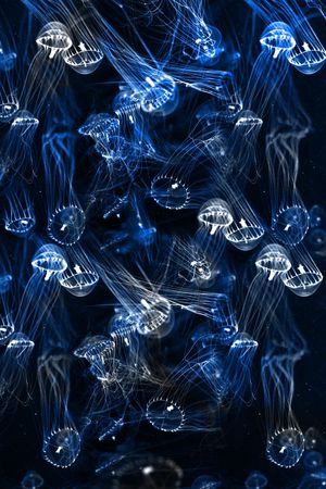 潮流印花华亿平台图片