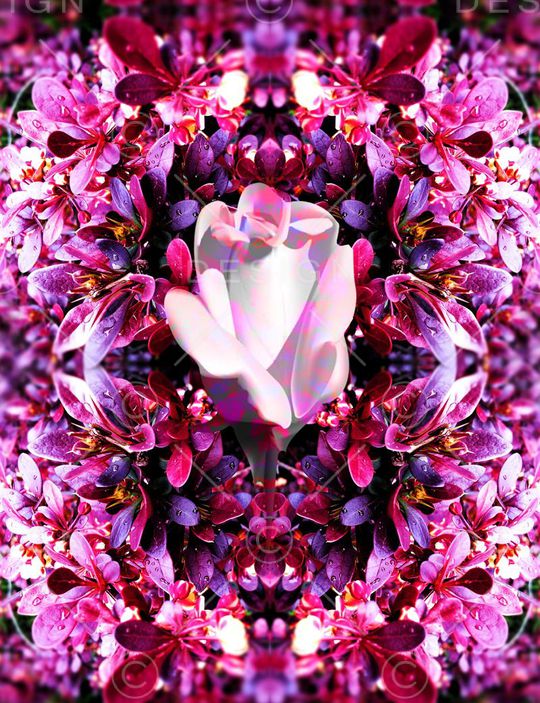 MAX-定位欧美民族风印花华亿平台图片