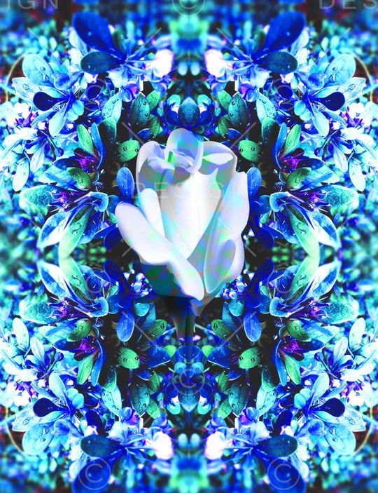 MAX-定位欧美民族风印花华亿平台图片