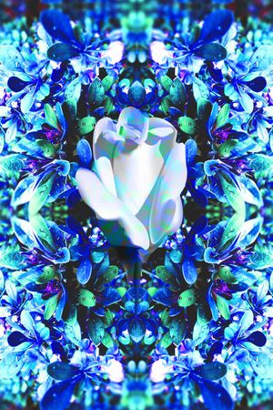 MAX-定位欧美民族风印花华亿平台图片