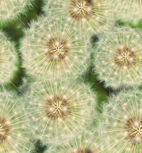 流行时尚印花华亿平台图片