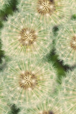 流行时尚印花华亿平台图片