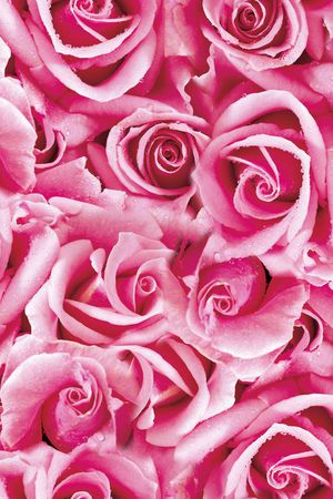 流行时尚印花华亿平台图片