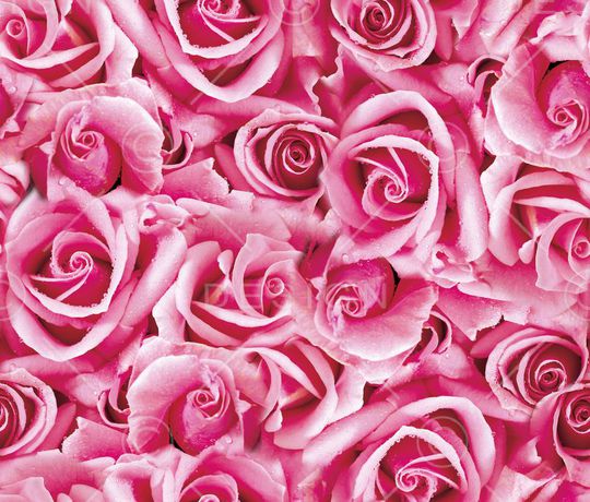 流行时尚印花华亿平台图片