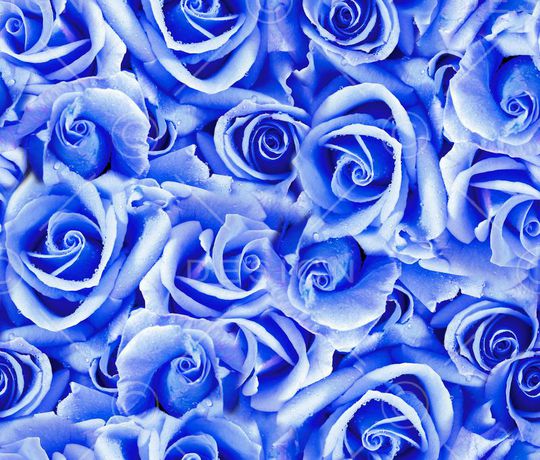 流行时尚印花华亿平台图片