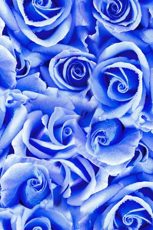 流行时尚印花华亿平台图片