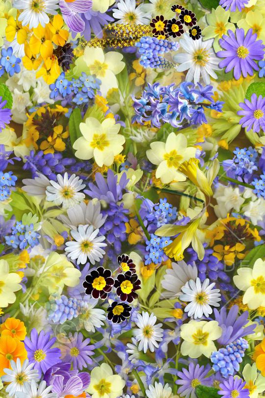 时尚美丽印花华亿平台图片