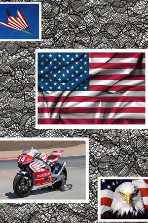 白头鹰印花华亿平台图片