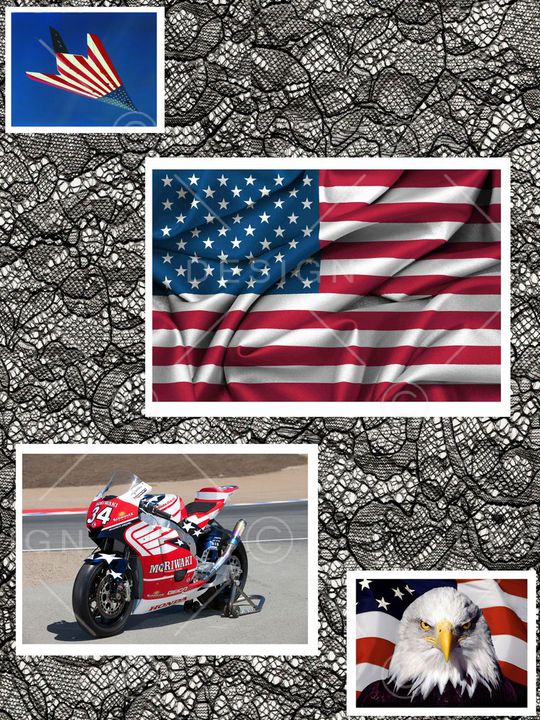 白头鹰印花华亿平台图片