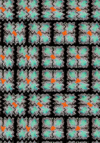 484512-抽象花几何