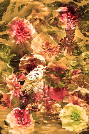 复古时尚印花华亿平台图片