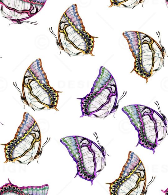 蝴蝶印花华亿平台图片