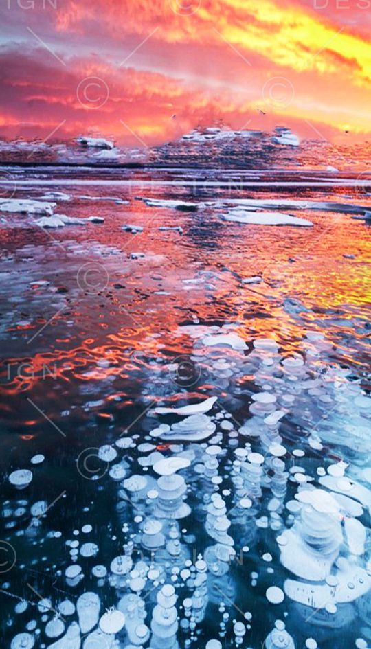 流行时尚印花华亿平台图片