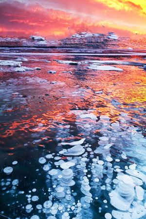 流行时尚印花华亿平台图片