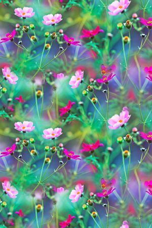 流行时尚印花华亿平台图片