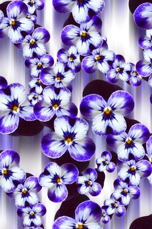 流行时尚印花华亿平台图片