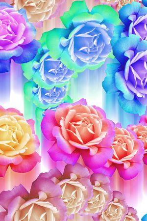 流行时尚印花华亿平台图片