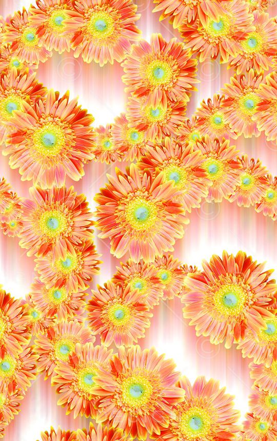 动感向阳花印花华亿平台图片