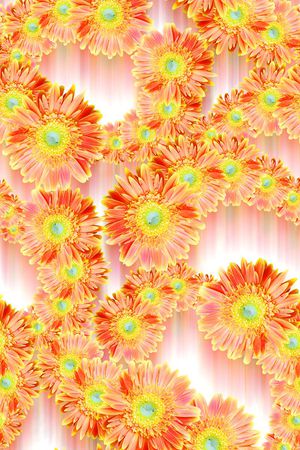 动感向阳花印花华亿平台图片