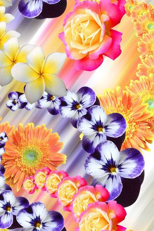 流行时尚印花华亿平台图片