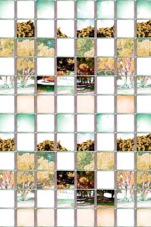 大树印花华亿平台图片