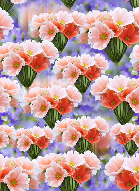 流行时尚印花华亿平台图片