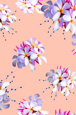 流行时尚印花华亿平台图片